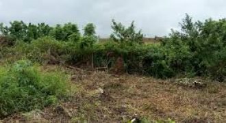 PLOTS OF LAND FOR SALE IN URUM AWKA