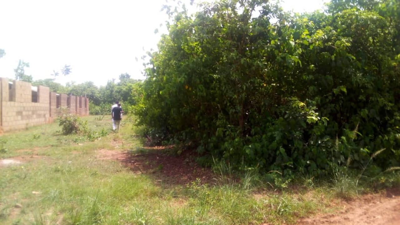 LAND FOR SALE IN MOWE IBAFO FOR 550K
