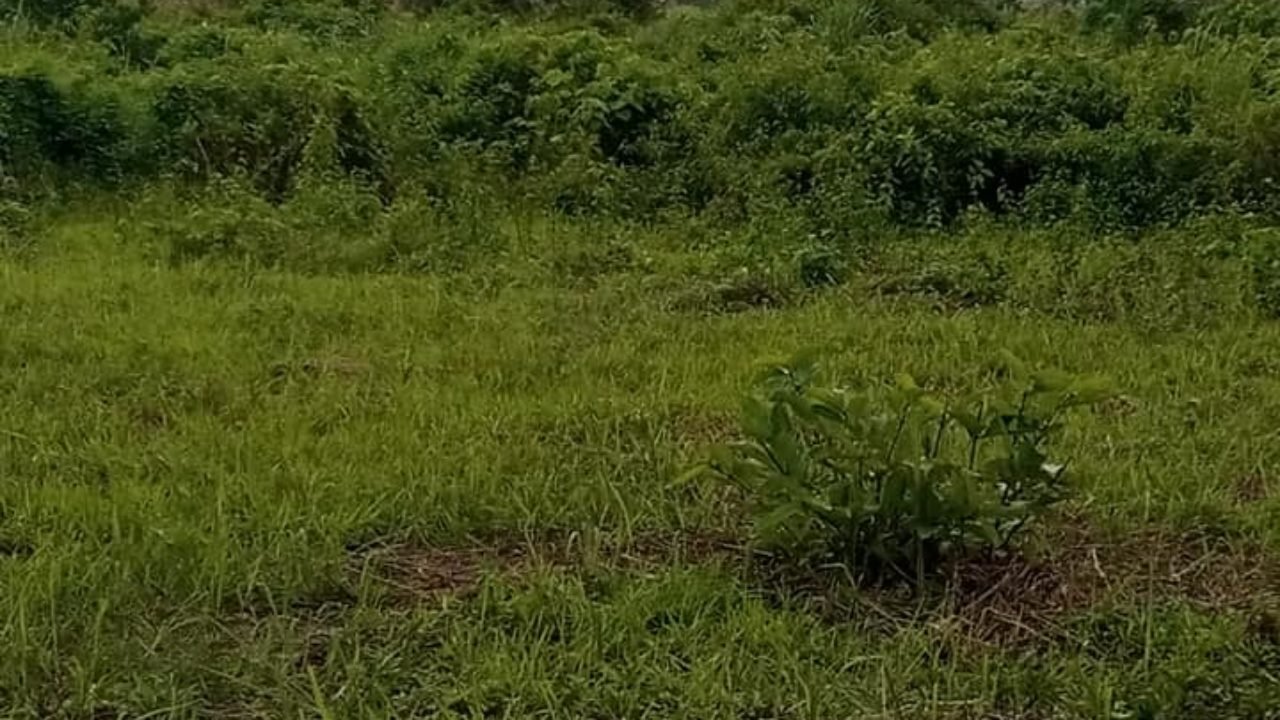 LAND IN AWKA SOUTH FOR SALE