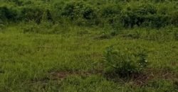 AWKA LANDS FOR SALE IN AWKA ANAMBRA STATE.