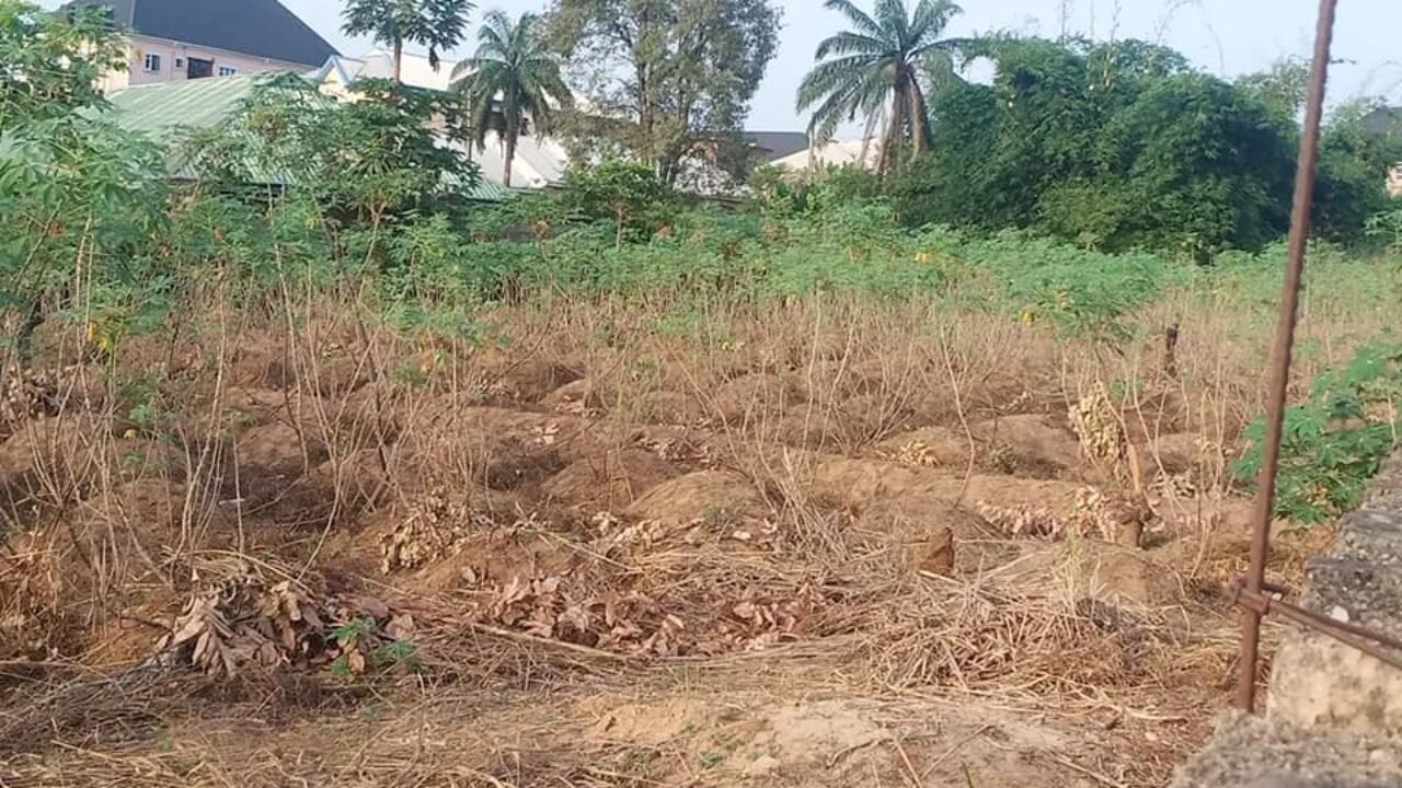 10 PLOTS OF LAND IN UMUODU OKPUNO FOR SALE